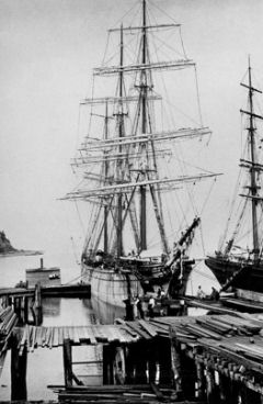 picture of lumber being loaded into a ship